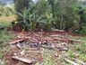 Meteorologista afirma que "tempestade convectiva" provocou estragos no interior de Itapiranga