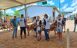Concurso da bezerra é realizada na 5ª Expo São João