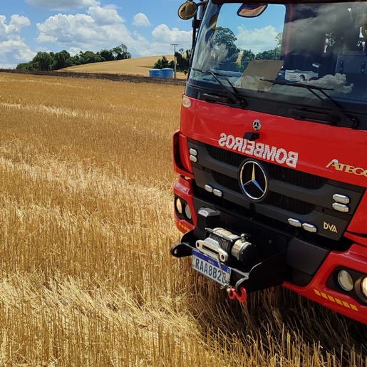 Incêndio atinge plantação de trigo no interior de Maravilha