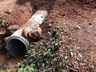 Setor de Obras de Iporã do Oeste atua com três equipes na recuperação de estradas 