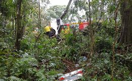 Homem morre em colisão contra árvore às margens da BR 282