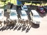Com auxílio do Canil PMR identifica motorista que abandonou veículo após fugir de abordagem policial