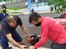 Voluntários plantam árvores em São Miguel do Oeste