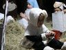 CEI Pingo de Gente de Palma Sola finaliza ano letivo com a chegada do Papai Noel
