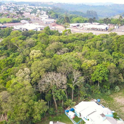 VÍDEO: Confira imagens aéreas do terreno onde Hang quer instalar filial da Havan
