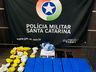 Dois jovens são presos com 4,3 Kg de maconha em Maravilha