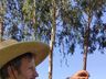 Epagri promove “Programa de Capacitação de Jovens Rurais” em Princesa