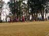 Fora de casa, Cometa vence o C.E. Aliança