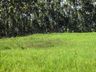 OUÇA: Peperi anuncia projeto para Parque Florestal na Linha Emboaba