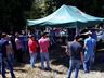Cooperalfa promove campo tecnológico de pastagens de verão em SJCedro