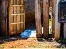 PM em rondas encontra corpo de idoso morto em São Miguel do Oeste