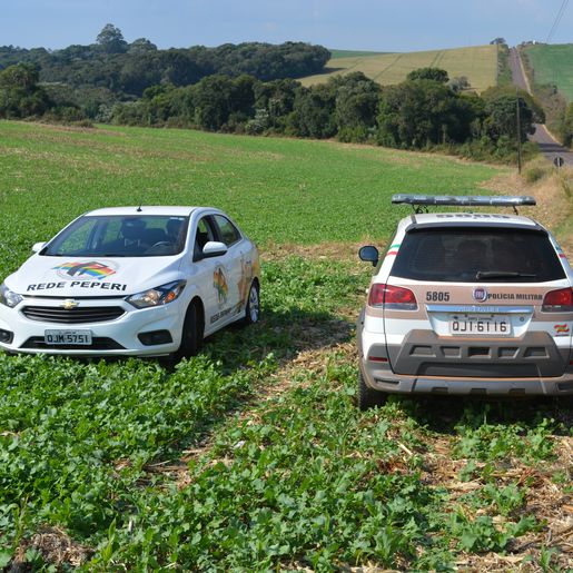 Polícia segue busca por assaltante na região de Campo Erê 