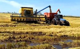 Secretaria da agricultura debate ações, benefícios e define novo presidente do conselho