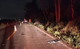 Criança de 6 anos morre em batida com carro parado em SC; motorista foge