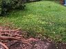 Temporal causa estragos em São Miguel do Oeste; fotos