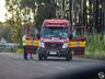 Atropelamento de cachorro deixa mulher ferida em SMOeste