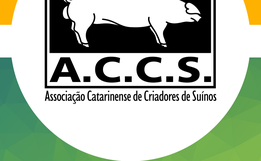 ACCS aponta cenário positivo no mercado da suinocultura