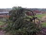 Tornado com ventos de quase 100 km/h atinge cidade de SC, diz Defesa Civil