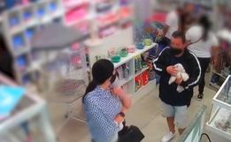 Oito cachorros são roubados por dia no Brasil; SC aparece em 2º lugar