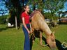 VÍDEO: Relação entre humanos e cavalos traz benefícios para o corpo e mente 