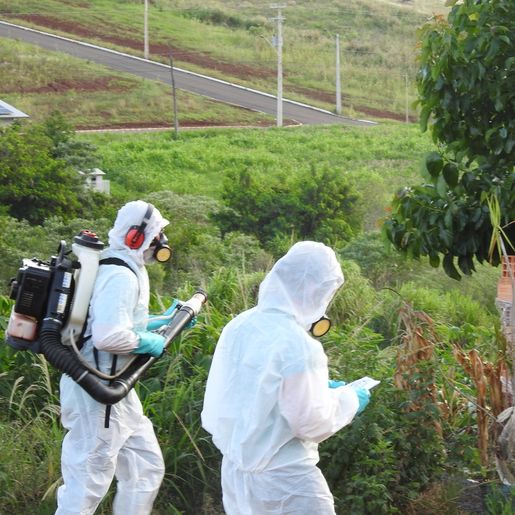 Casos de dengue chegam a 13 em São Miguel do Oeste