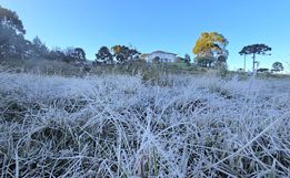 Cidade mais fria do Brasil tem termômetros abaixo de 0°C e campos “congelam” na Serra de SC