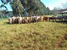 Alunos da Casa Familiar Rural de Cedro realizam viagem de estudo