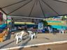 2° Efacisb é sucesso em São Bernardino 