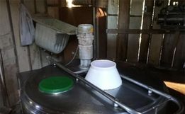 Produtor de leite tem prejuízo de três mil reais em furto no interior 