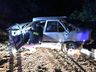 Vídeo: Carro capota, bate em árvore e condutor abandona local em SMOeste