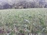 Chuva de granizo atinge interior de Campo Erê e São Bernardino 