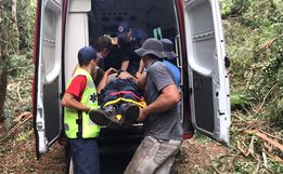 Vídeo: Trabalhador fica ferido ao ser atingido por árvore no interior de Bandeirante