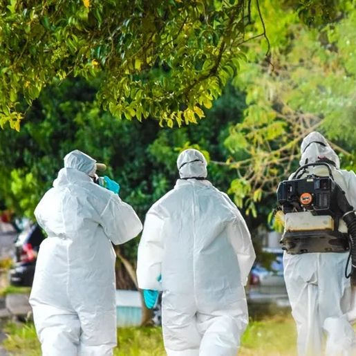 São Miguel do Oeste registra 121 focos de Aedes aegypti e inicia nova estratégia 