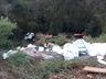 Caminhoneiro escapa ileso após carreta capotar em ribanceira na BR-282
