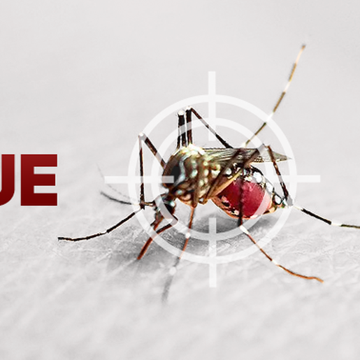 Demora do diagnóstico da dengue atrasa ações preventivas