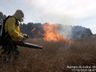 Bombeiros combatem fogo em lavoura de aveia