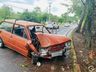 VÍDEO: Carro sai da pista e colide contra árvore na SC 163
