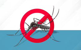 Secretaria de Saúde de Mondaí confirma primeiro caso de dengue no município