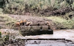 Enchente leva ponte no interior de Tunápolis