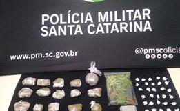 Polícia prende três homens por tráfico e apreende 12 pés de maconha em Mondaí