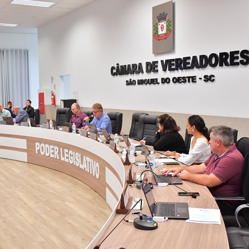  Vereadores aprovam abertura de crédito de R$ 365 mil da Lei Paulo Gustavo