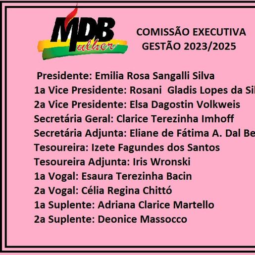 Carlos Agostini é eleito o novo presidente do MDB em São Miguel do Oeste