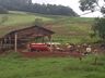 Vendaval causa estragos no interior de Itapiranga
