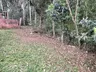 Feto humano é encontrado por crianças no meio-oeste de SC