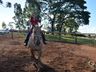VÍDEO: Relação entre humanos e cavalos traz benefícios para o corpo e mente 