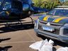Polícia Civil e PRF apreendem mais de 250 Kg de maconha em São Lourenço do Oeste