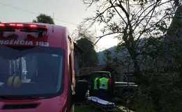 Ao tentar salvar neto, idosa é atingida por árvore no Oeste de SC