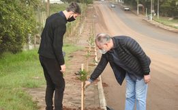 Programa de arborização vai beneficiar todos os bairros de SMOeste