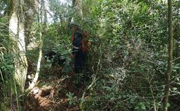 Adolescente de 14 anos é encontrada morta amarrada em árvore