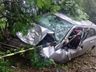  Jovem fica ferido ao colidir carro em árvore na SC-163 em Itapiranga